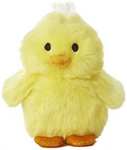 PETIT POUSSIN JAUNE AVEC SON  AURORA 3,5